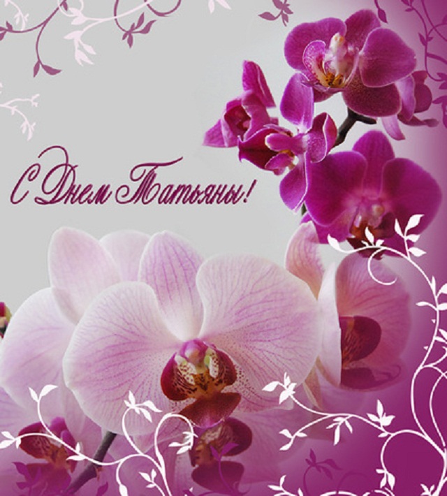 Поздравления С Днем Рождения Женщине С Орхидеями
