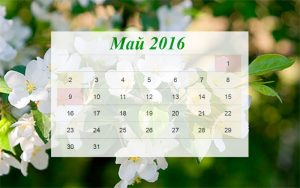 Как отдыхаем на майские праздники 2016