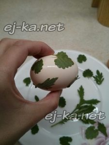 На каждое яйцо нужно прилепить влажные листочки