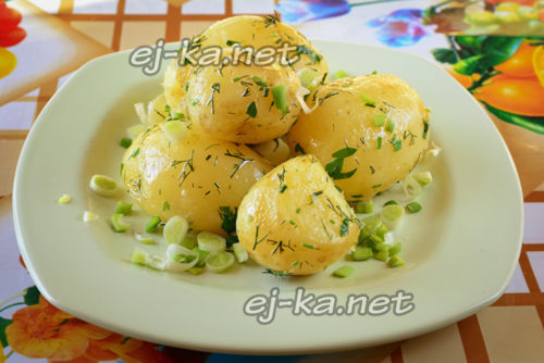 Молодая картошка с зеленью