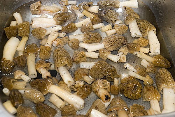 отваренные грибы