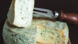 Особенности приготовления сыра горгонзола в домашних условиях