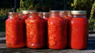Заготовки из томатов